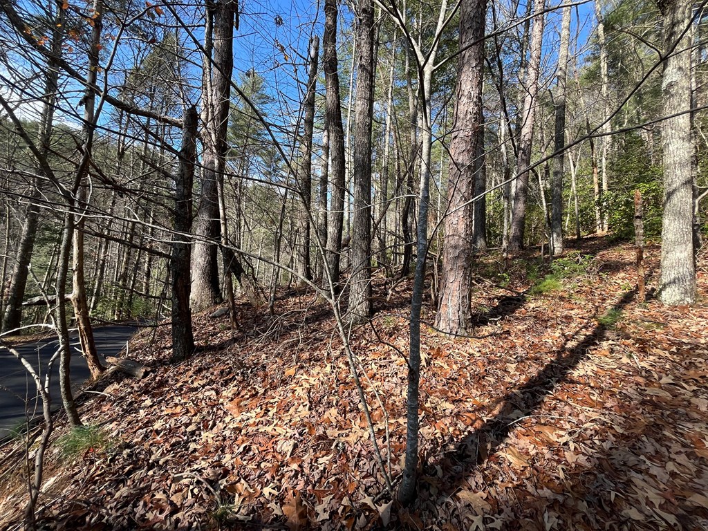 7.72-ac Stanley Creek Road Cherry Log, GA 30522 - Photo 15 of 20