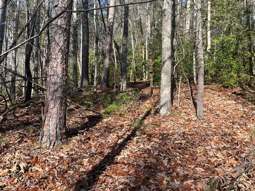 7.72-ac Stanley Creek Road Cherry Log, GA 30522 - Photo 17 of 20