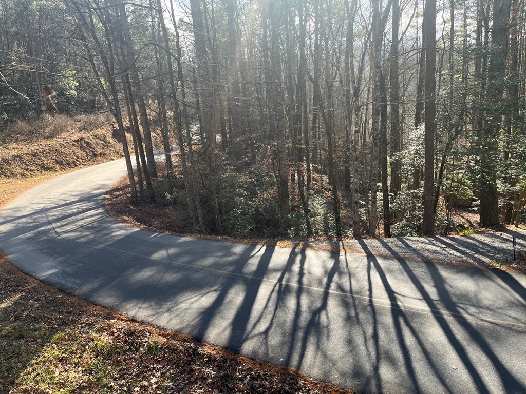 7.72-ac Stanley Creek Road Cherry Log, GA 30522 - Photo 18 of 20