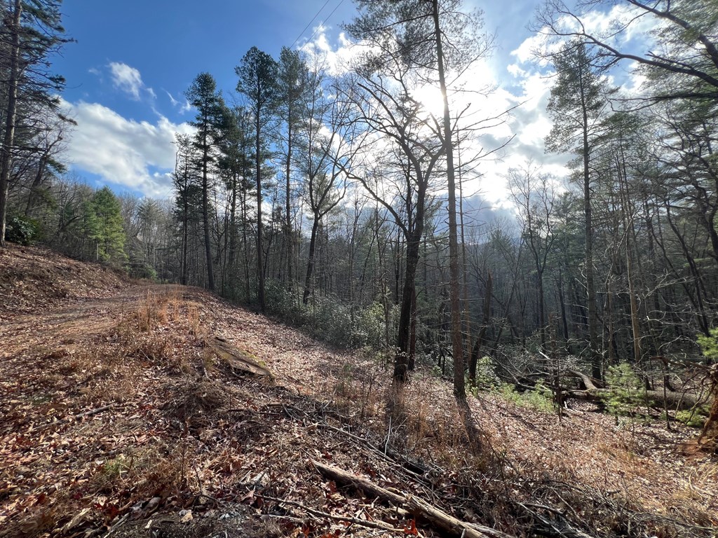 7.72-ac Stanley Creek Road Cherry Log, GA 30522 - Photo 19 of 20