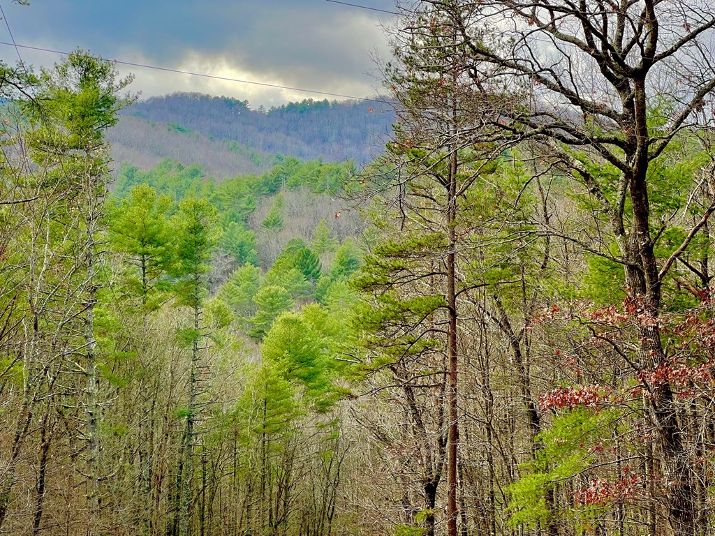 7.72-ac Stanley Creek Road Cherry Log, GA 30522 - Photo 20 of 20