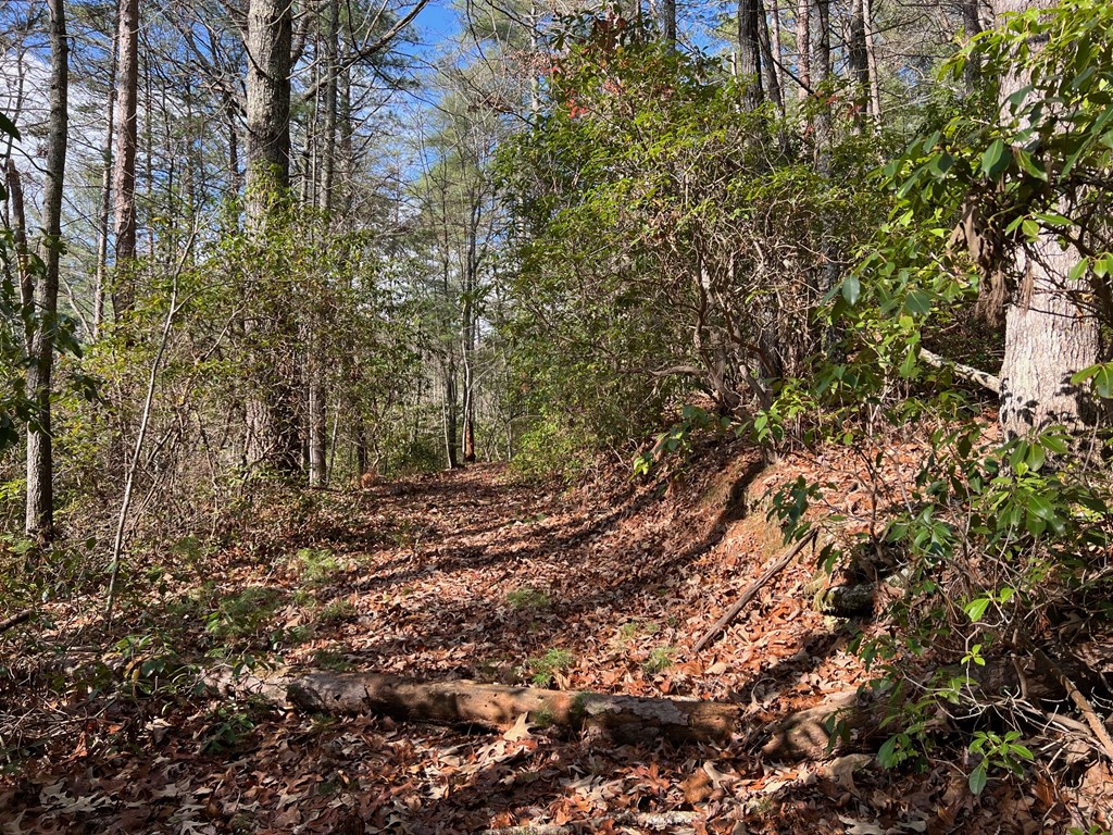 7.72-ac Stanley Creek Road Cherry Log, GA 30522 - Photo 6 of 20
