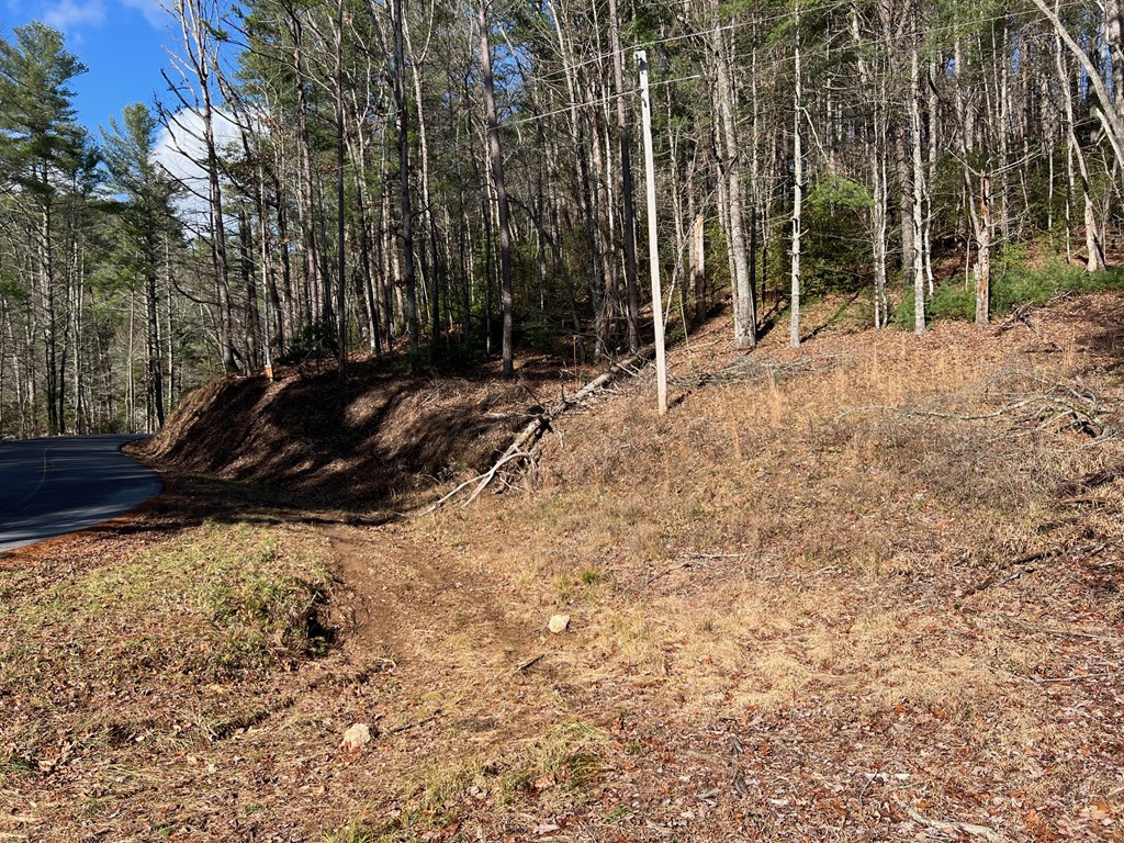 7.72-ac Stanley Creek Road Cherry Log, GA 30522 - Photo 7 of 20
