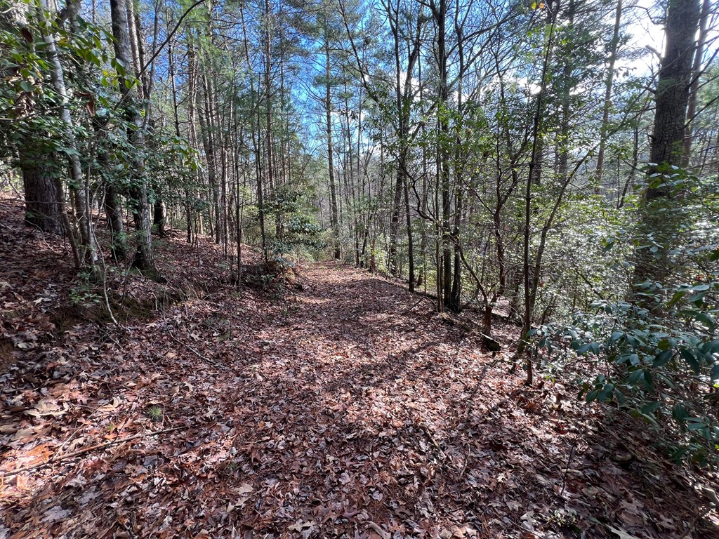 7.72-ac Stanley Creek Road Cherry Log, GA 30522 - Photo 9 of 20