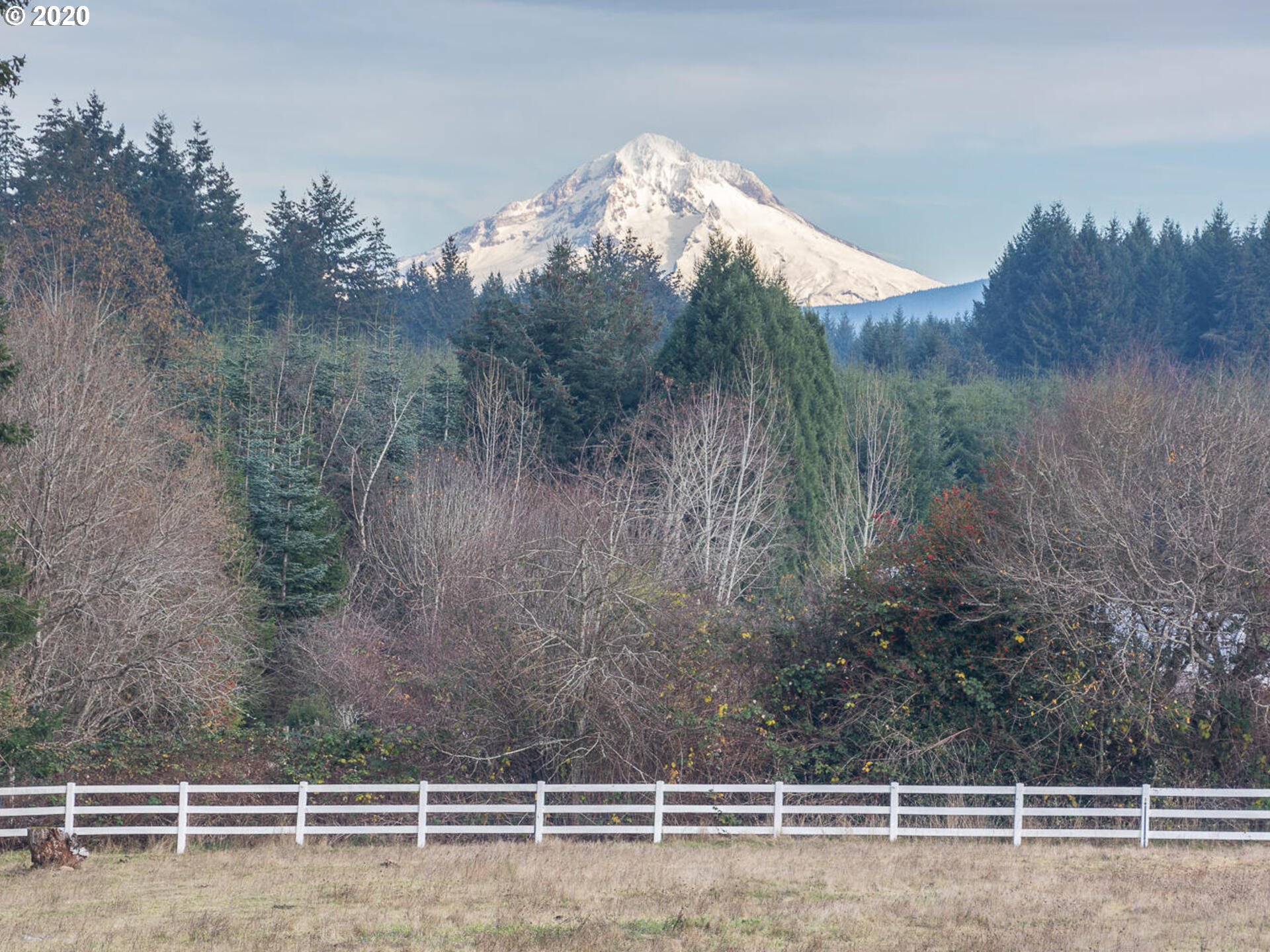 29830 Southeast Currin Road Estacada, OR 97023 - Photo 32 of 32 Gallery Image 32