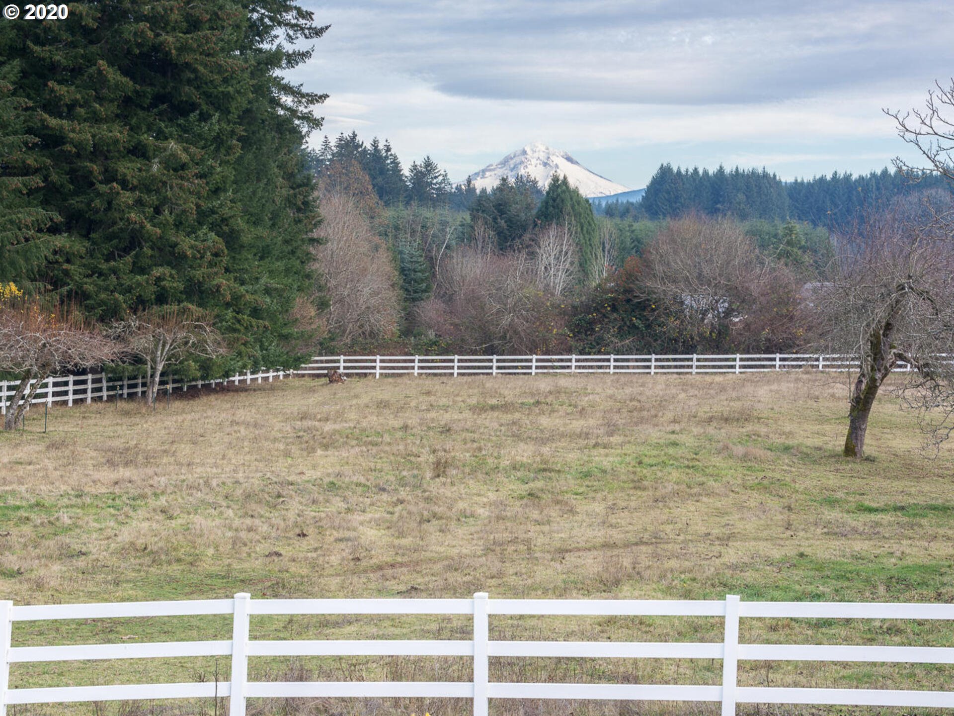 29830 Southeast Currin Road Estacada, OR 97023 - Photo 5 of 32 Gallery Image 5
