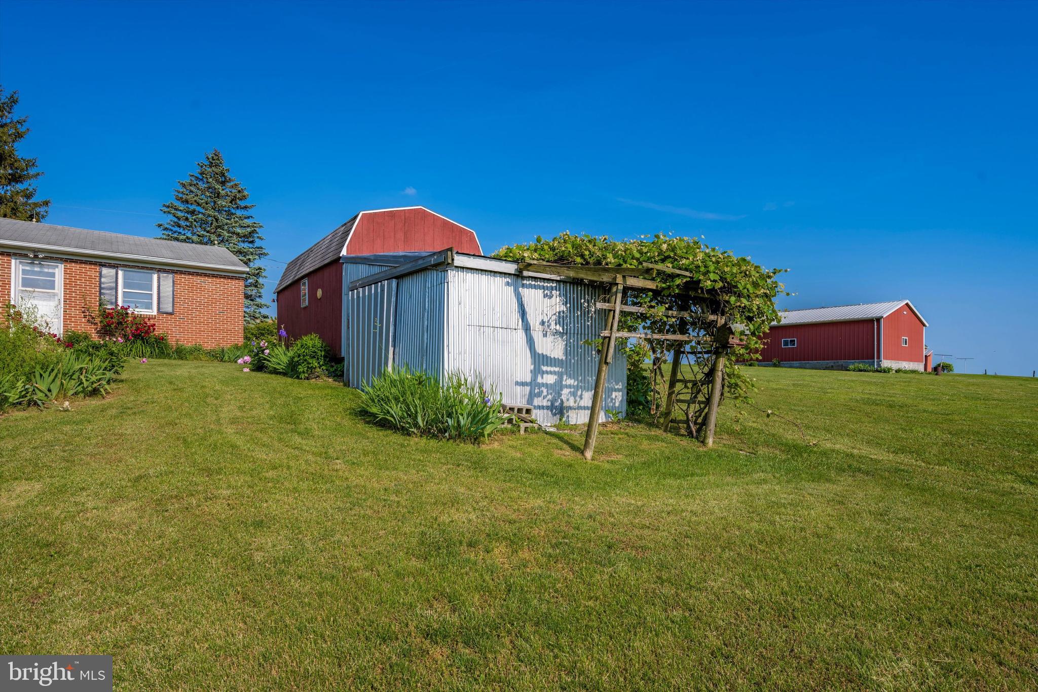 11802 Cash Smith Road Keymar, MD 21757 - Photo 29 of 37 Grape Vine behind Shed!