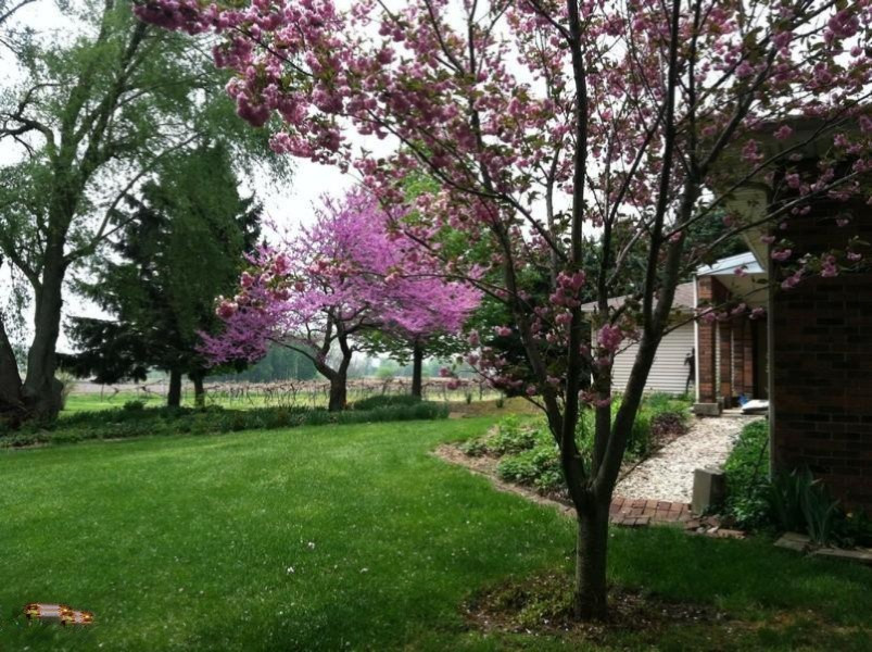 10468 Hills Road Baroda, MI 49101 - Photo 25 of 33 25