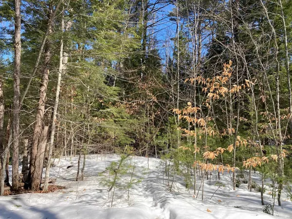 $124,900 | 0 Henderson Road, Unit MAP 272/LOT 42, Center Conway, NH 03813