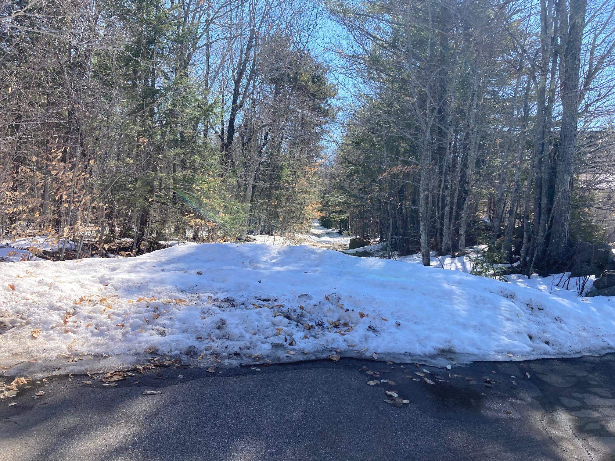 0 Henderson Road, Unit MAP 272/LOT 42 Center Conway, NH 03813 - Photo 4 of 11