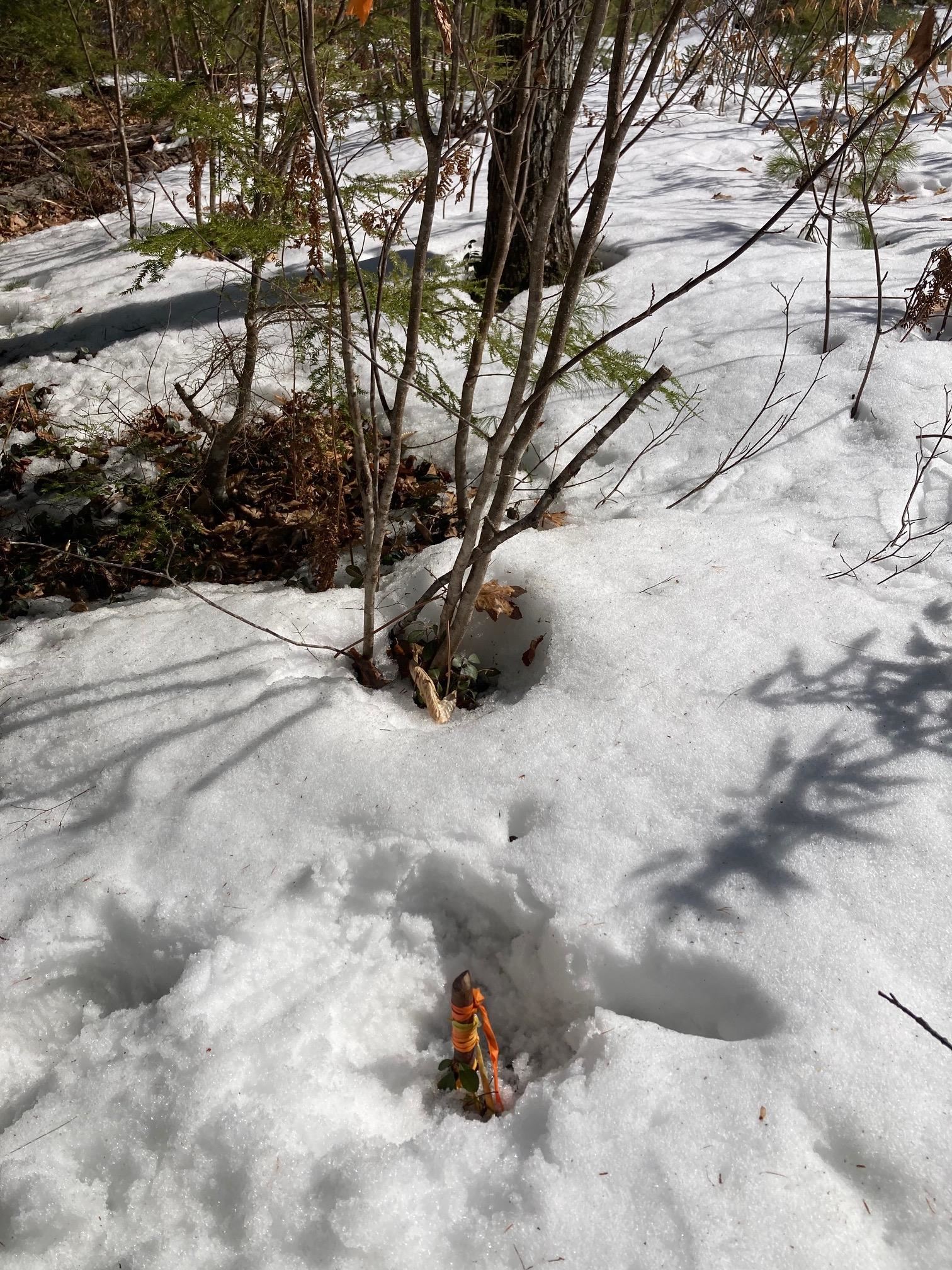 0 Henderson Road, Unit MAP 272/LOT 42 Center Conway, NH 03813 - Photo 6 of 11