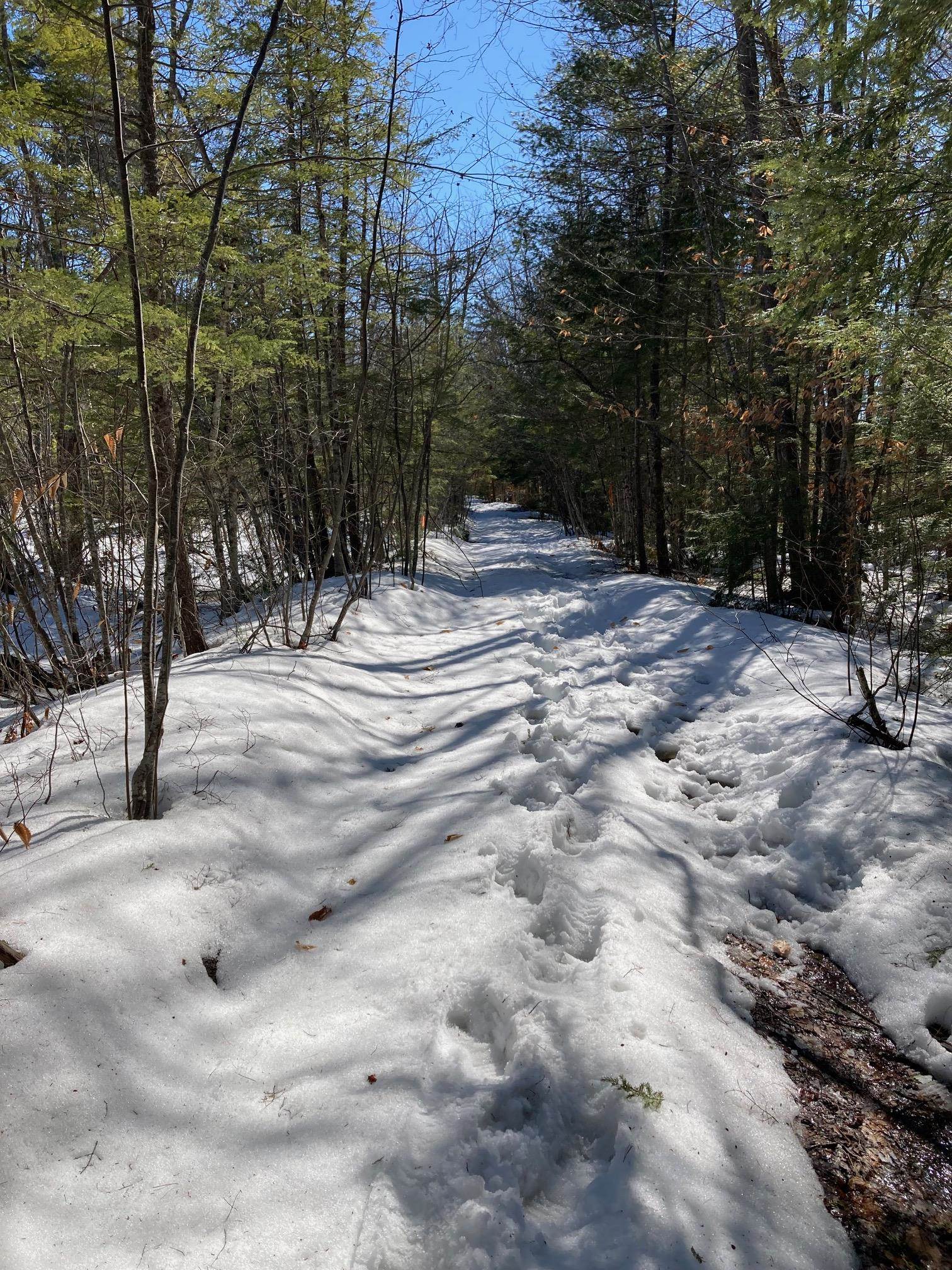 0 Henderson Road, Unit MAP 272/LOT 42 Center Conway, NH 03813 - Photo 7 of 11