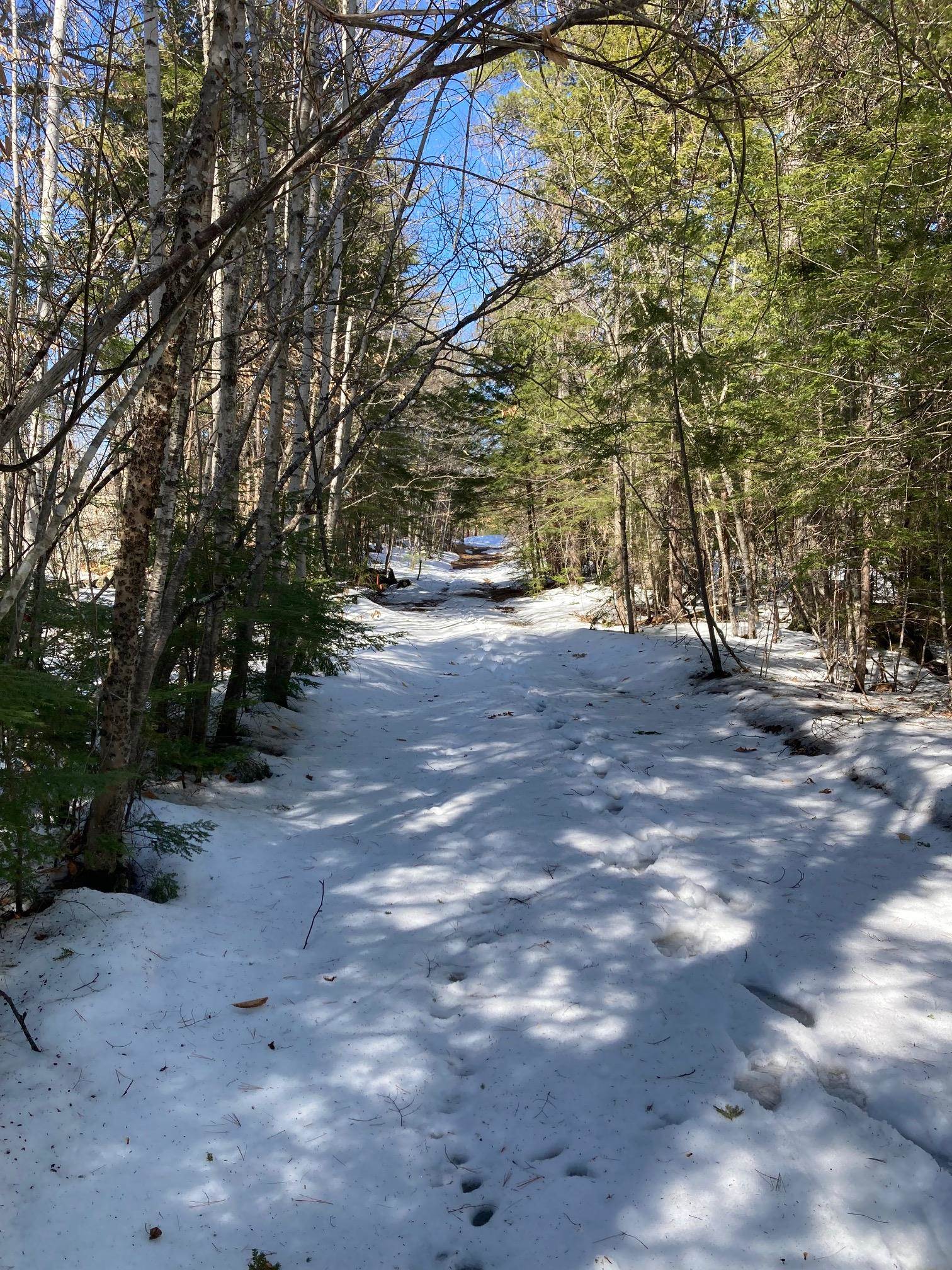 0 Henderson Road, Unit MAP 272/LOT 42 Center Conway, NH 03813 - Photo 8 of 11