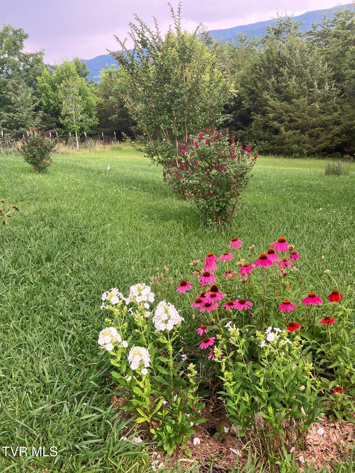 456 Greystone Road Greeneville, TN 37743 - Photo 54 of 100 PHOTO-2025-06-25-18-08-52 (1)
