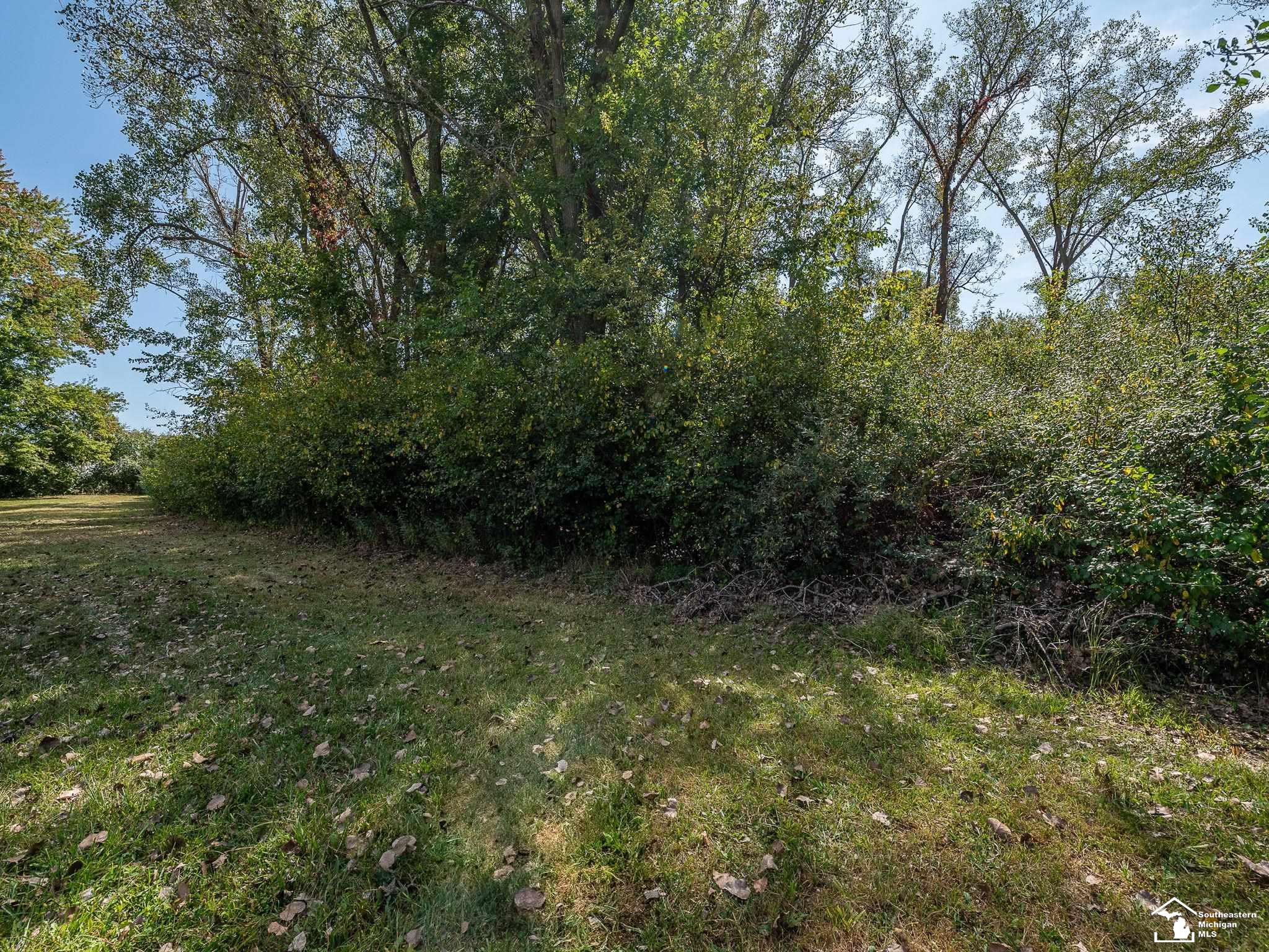 0 Blue Bush Road Monroe, MI 48162 - Photo 3 of 15