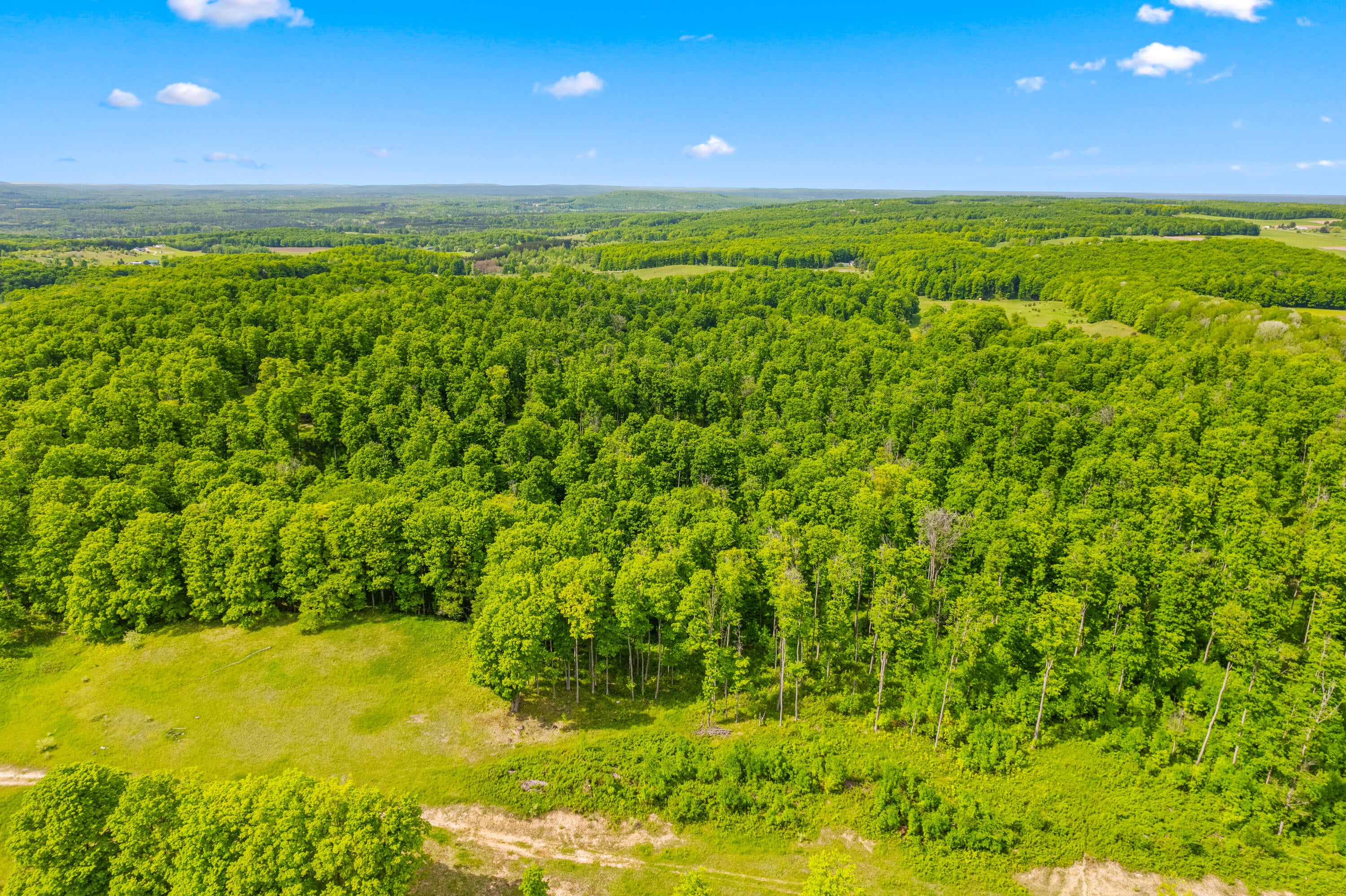 Seymore Road Gaylord, MI 49735 - Photo 7 of 27 DJI_0789
