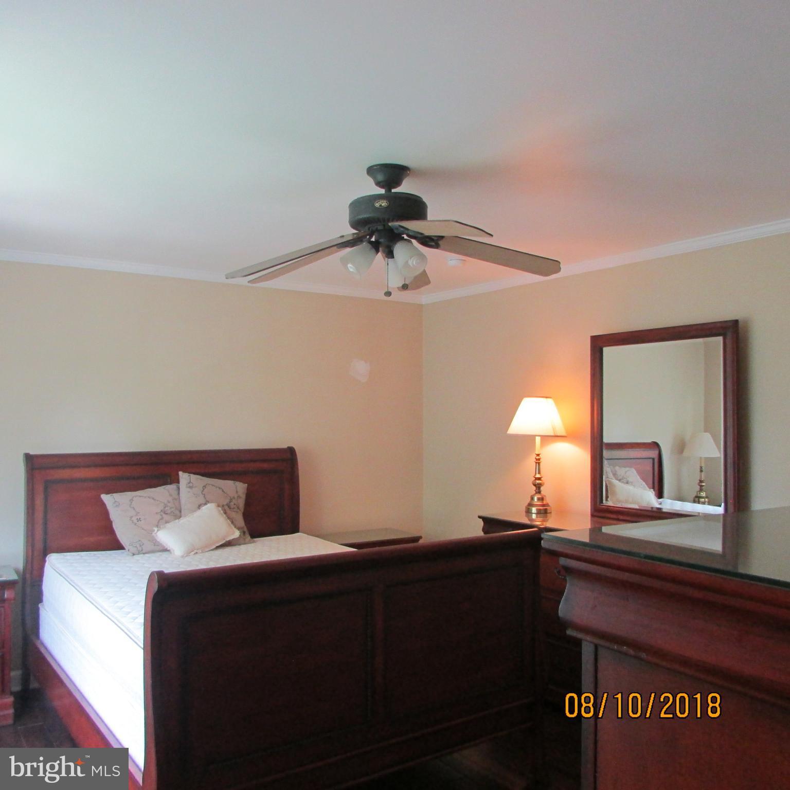 1107 Top Ridge Court Odenton, MD 21113 - Photo 19 of 30 Ceiling Fan!