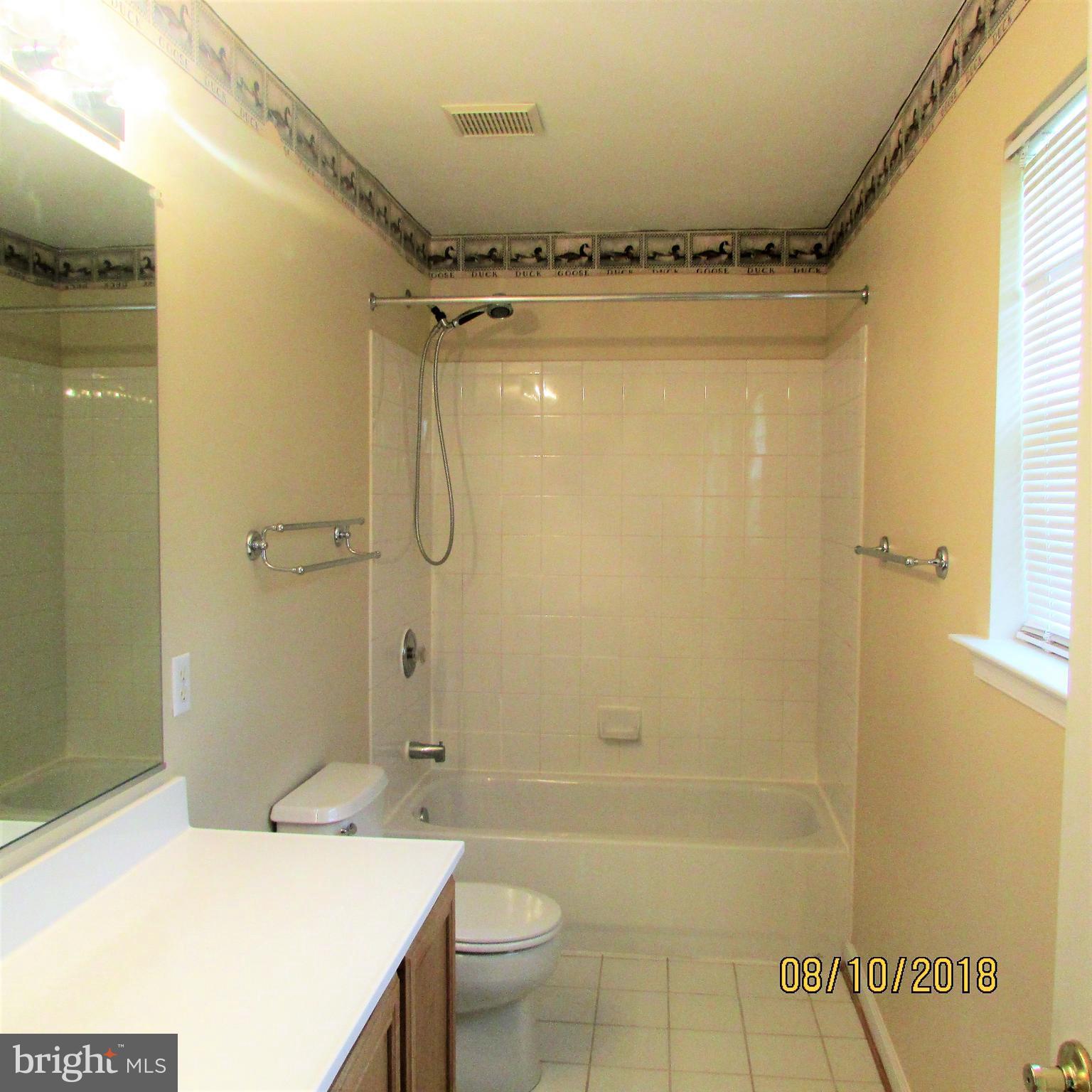 1107 Top Ridge Court Odenton, MD 21113 - Photo 22 of 30 Bath Tub!