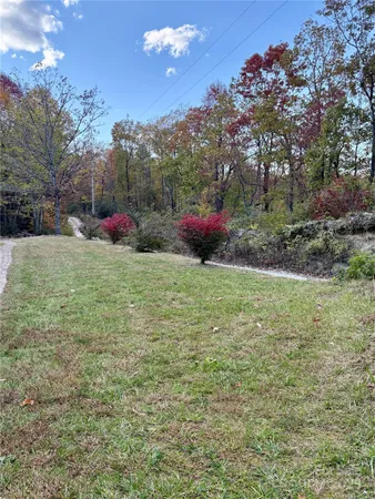 a view of a garden
