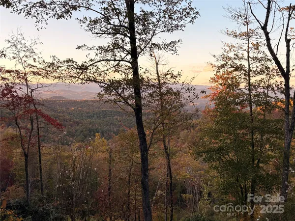a view of mountain view with lots of trees