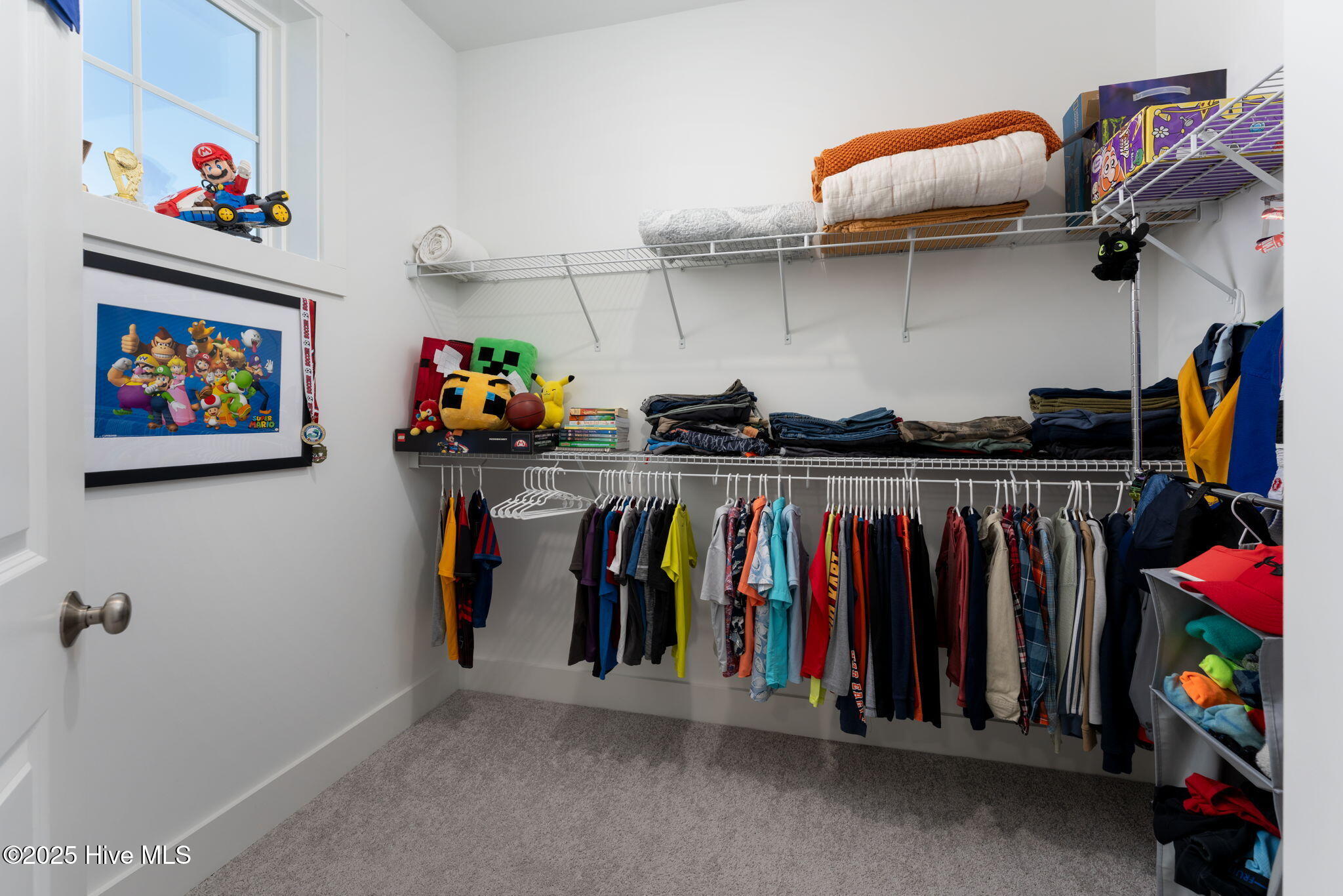 46 North Radiance Way Hampstead, NC 28443 - Photo 43 of 91 Bedroom 3 Closet