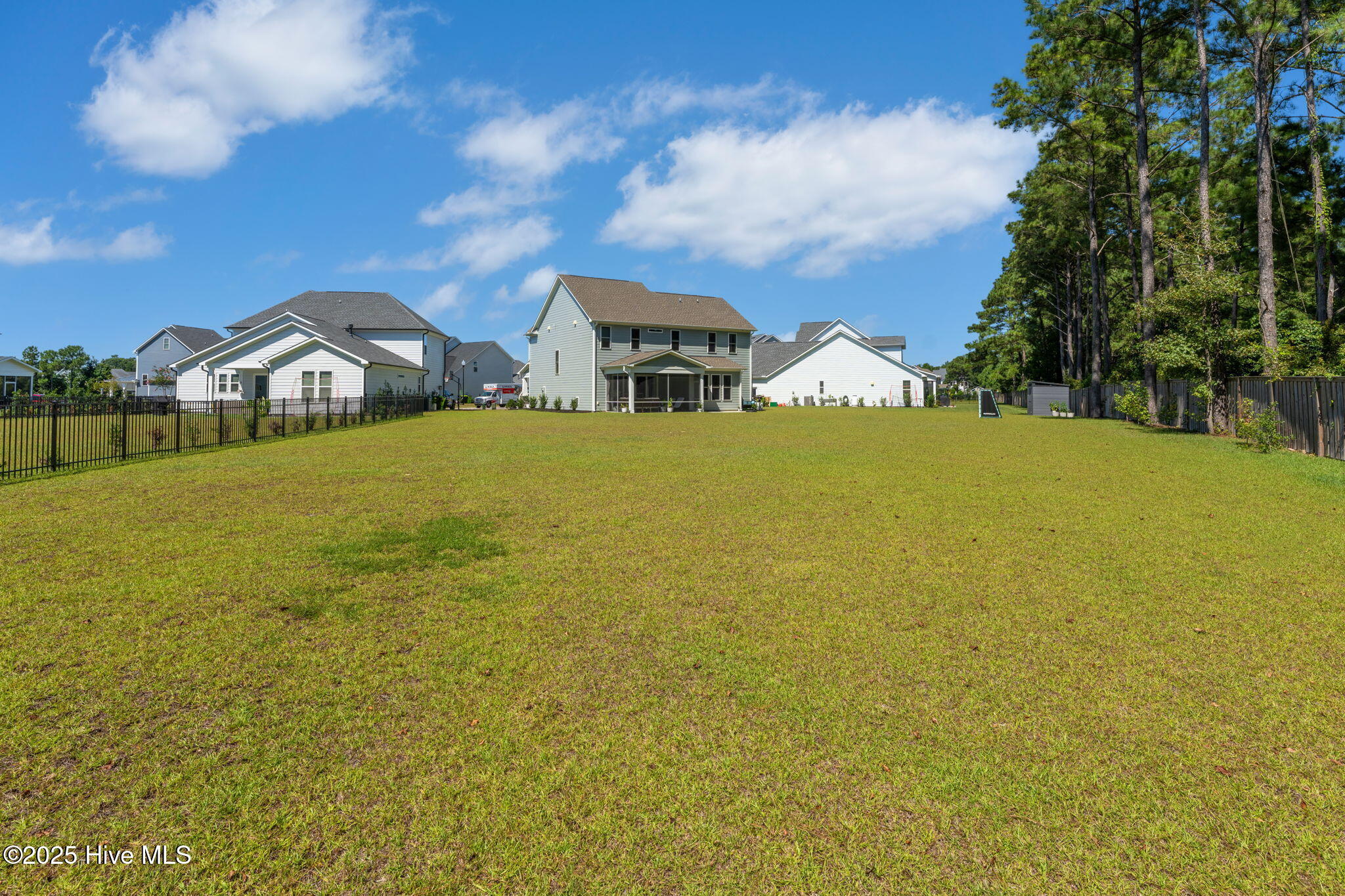 46 North Radiance Way Hampstead, NC 28443 - Photo 54 of 91 Back Yard