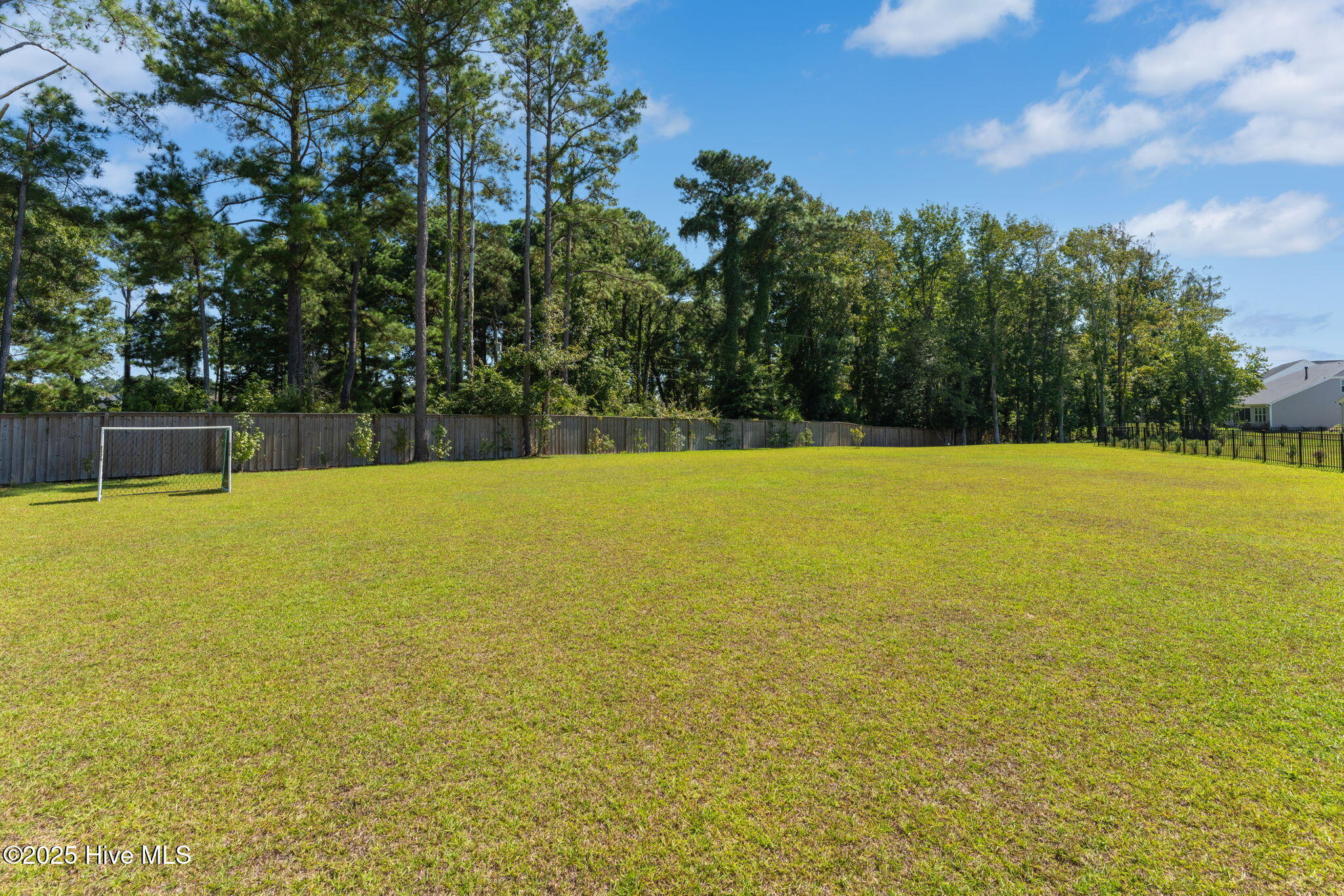 46 North Radiance Way Hampstead, NC 28443 - Photo 55 of 91 Back Yard