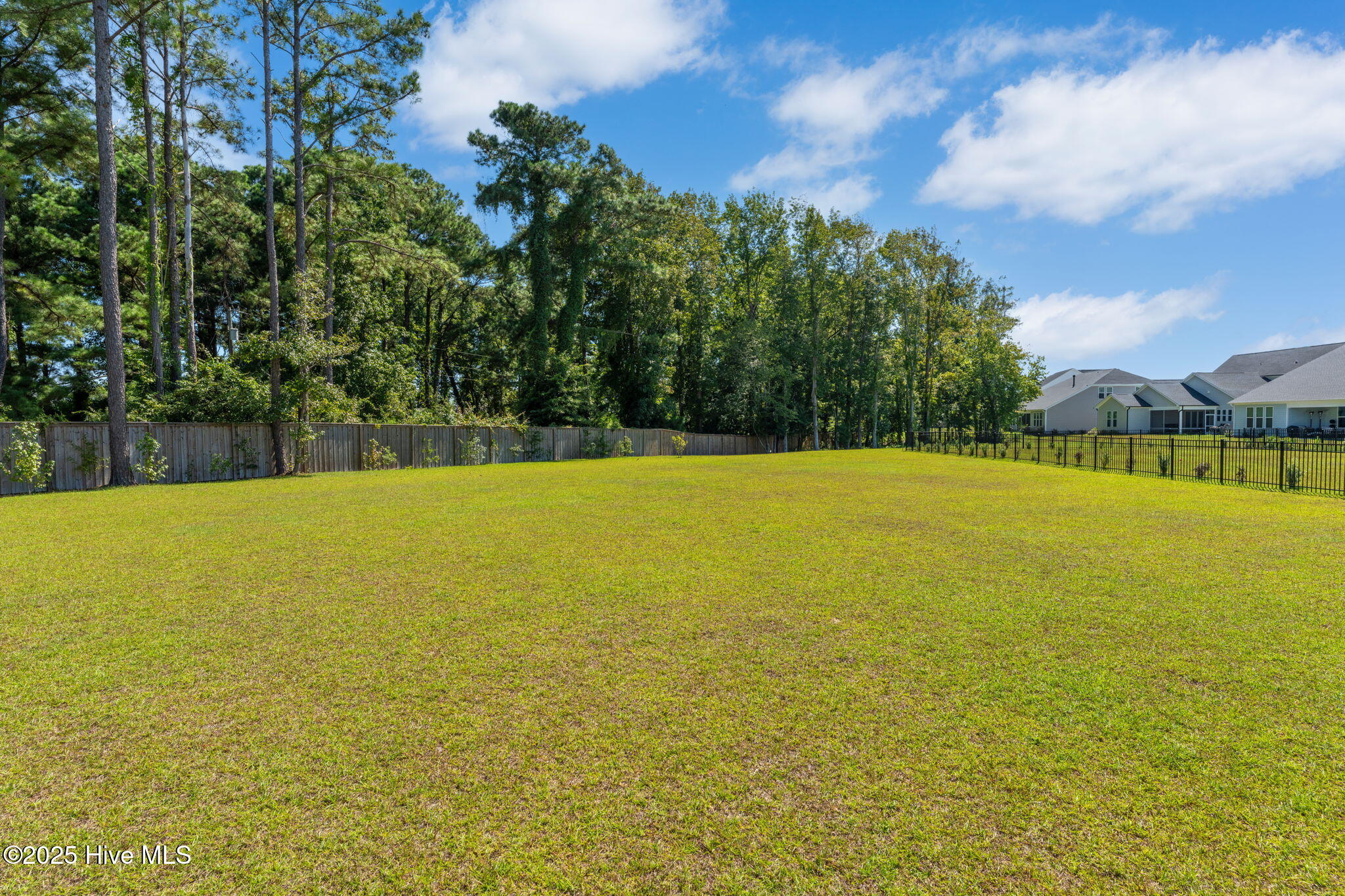 46 North Radiance Way Hampstead, NC 28443 - Photo 56 of 91 Back Yard