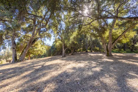 a view of backyard with green space
