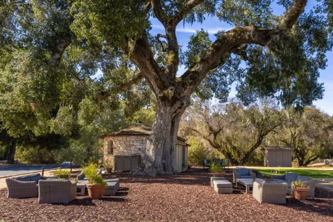 a wooden bench sitting in the middle of a backyard