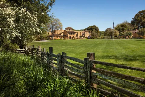 a view of a garden and trees