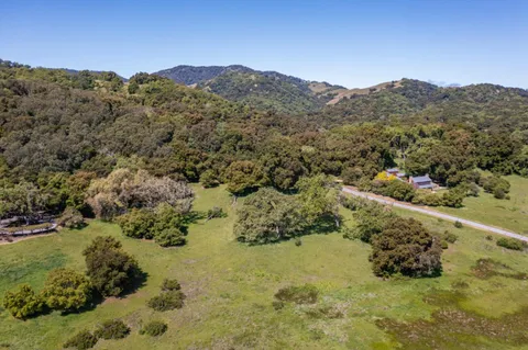 a view of a forest with a mountain in the background