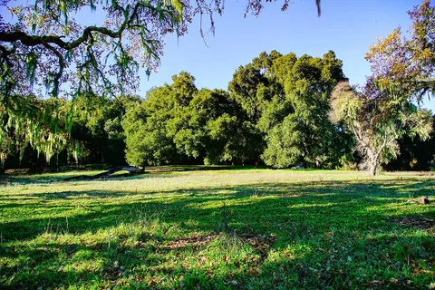 a view of a grassy field