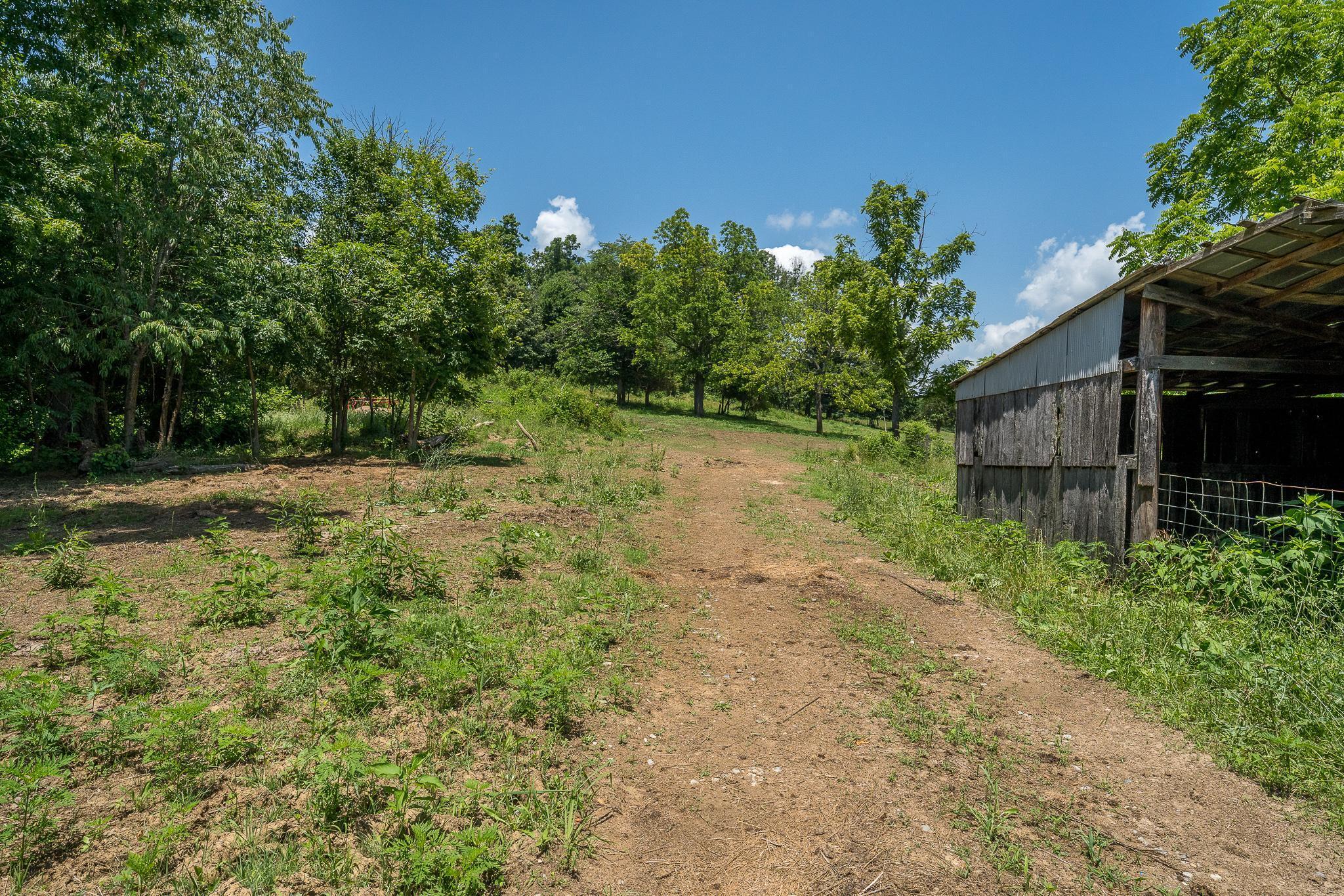 Tbd Tucker Hollow Road West, Unit 26 Fall Branch, TN 37656 - Photo 8 of 42 shed