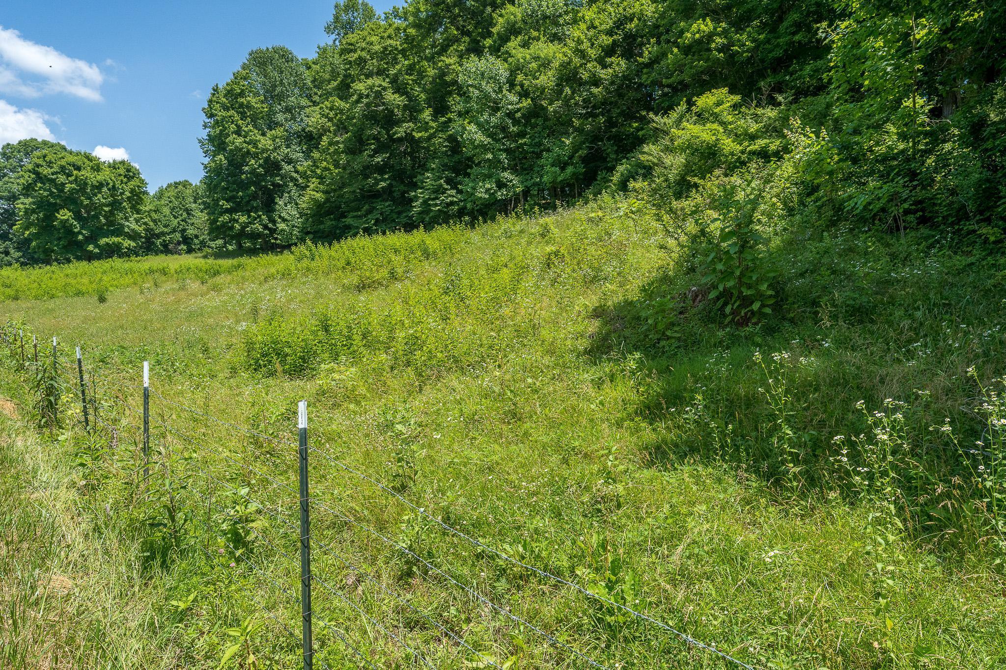 Tbd Tucker Hollow Road West, Unit 26 Fall Branch, TN 37656 - Photo 9 of 42 lower field