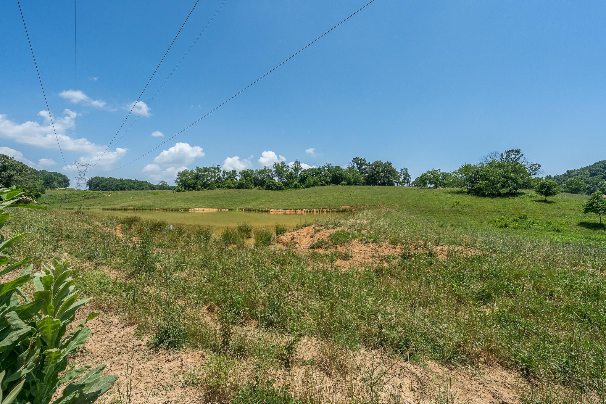 Tbd Tucker Hollow Road West, Unit 26 Fall Branch, TN 37656 - Photo 10 of 42 top field