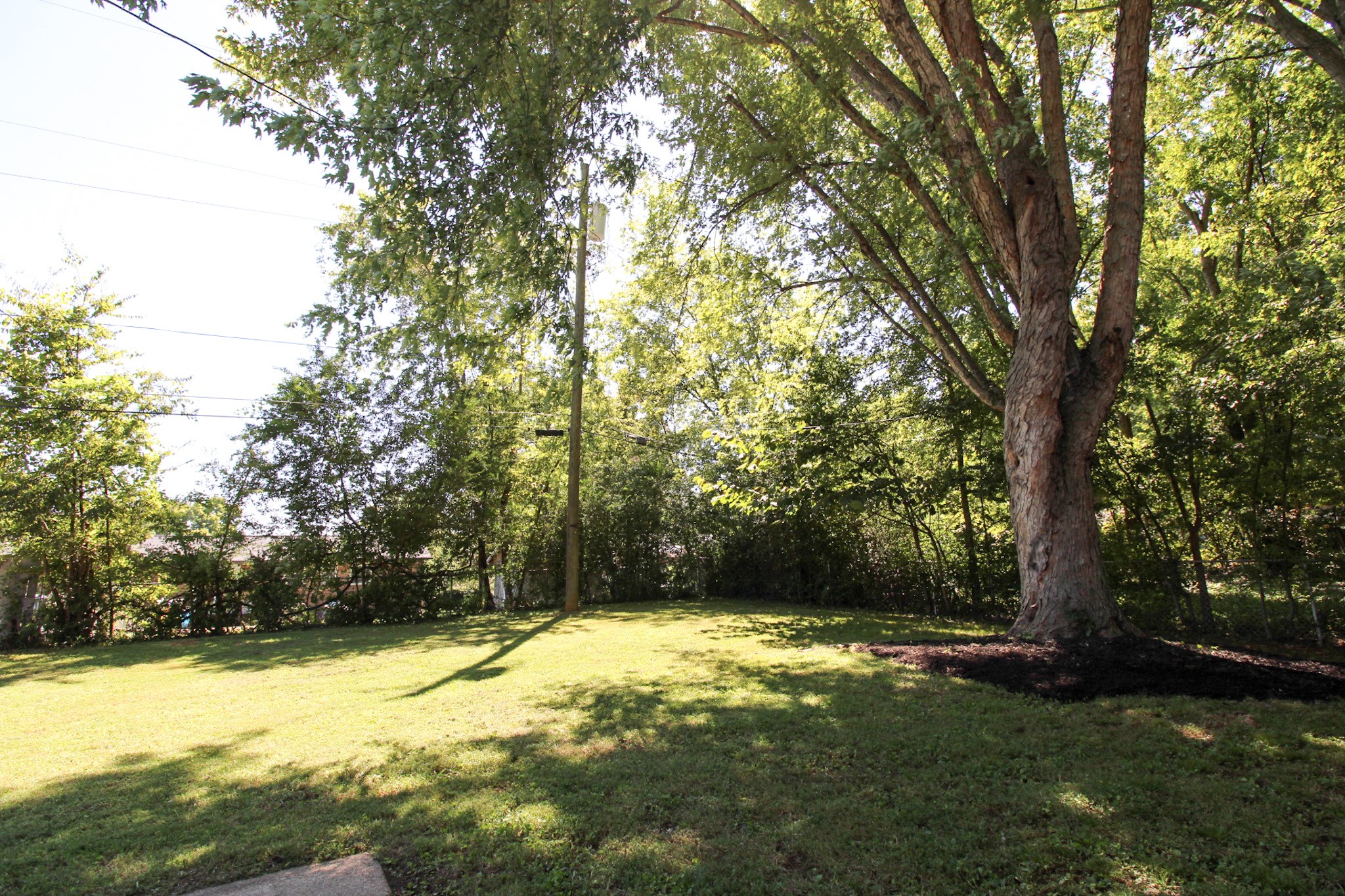212 Cunningham Lane Clarksville, TN 37042 - Photo 19 of 19 a view of a yard with trees