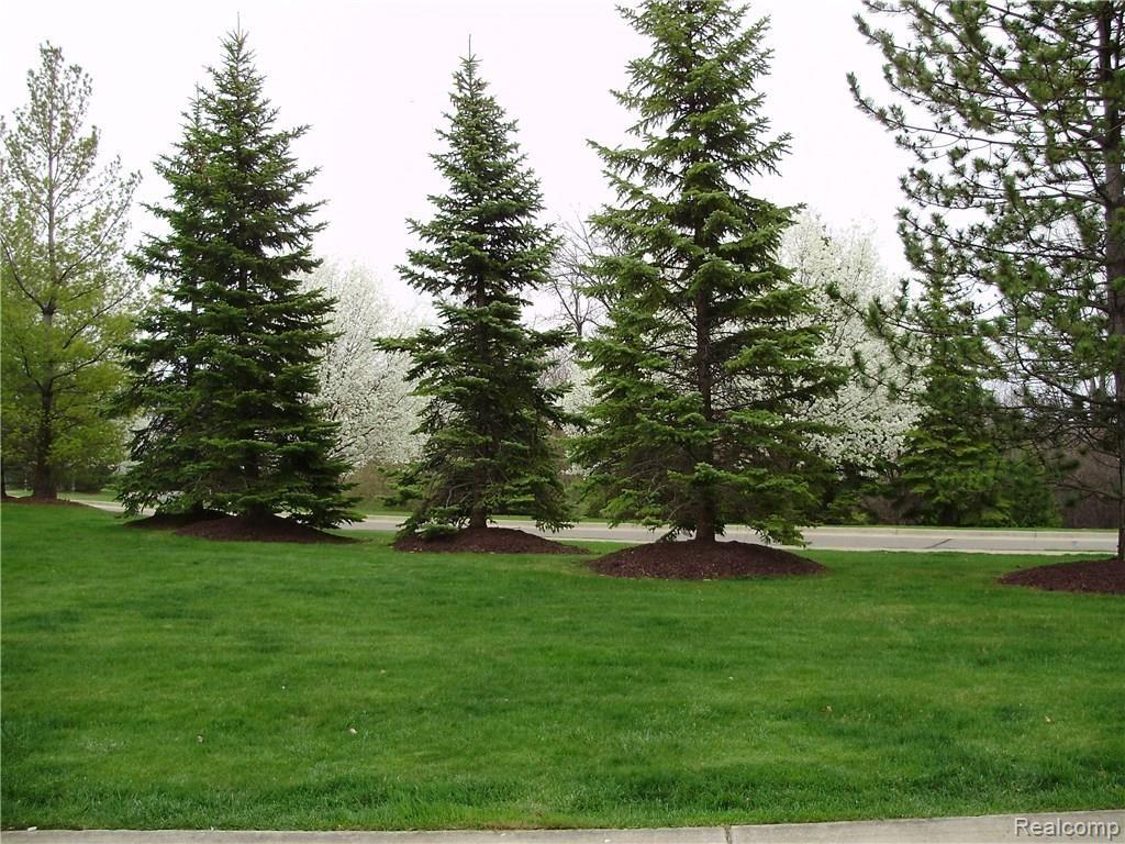3548 Oakmonte Boulevard, Unit 104 Rochester, MI 48306 - Photo 20 of 20 P4220790.JPG