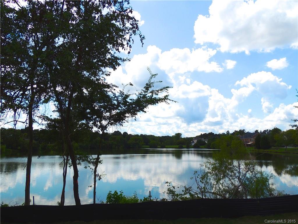 925 Ospre Lane, Unit 162 Fort Mill, SC 29708 - Photo 21 of 22 a view of lake from yard