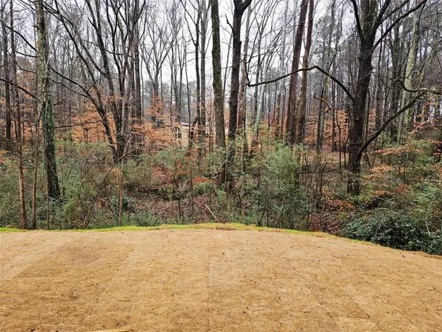 a view of large yard