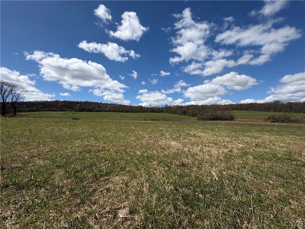 3838 Union Valley Road Taylor, NY 13052 - Photo 4 of 14 View NE from the road/Southerly corner of property