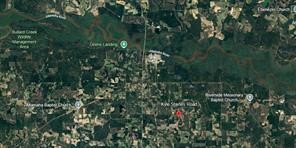 150 Kyle Staines Road Baxley, GA 31513 - Photo 2 of 3