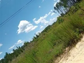 $80,000 | 150 Kyle Staines Road, Baxley, GA 31513