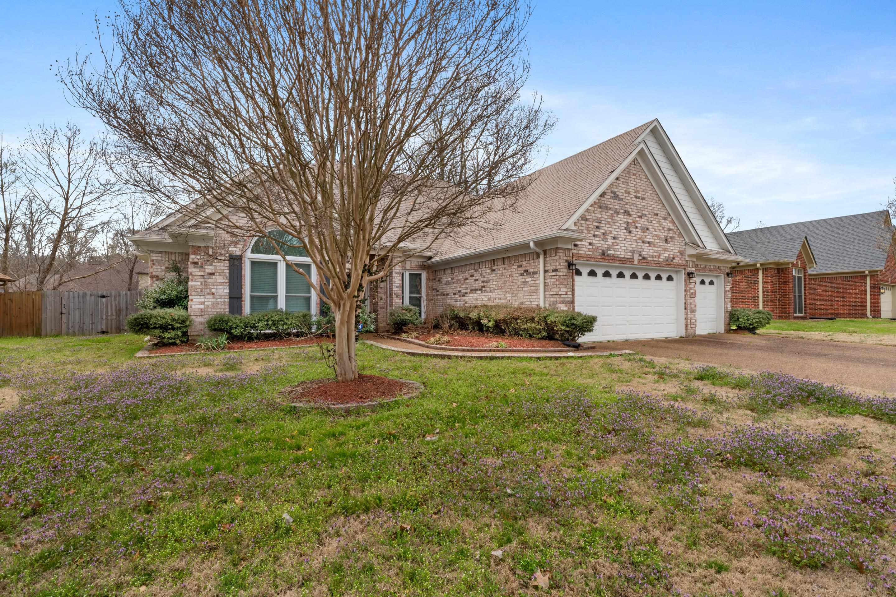 9107 Raspberry Lane Cordova, TN 38016 - Photo 3 of 26