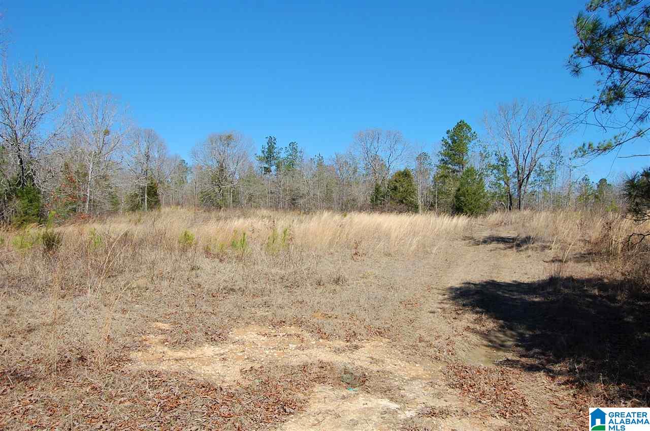 0 Melissa Robyn Road, Unit 1 Deatsville, AL 36022 - Photo 12 of 29