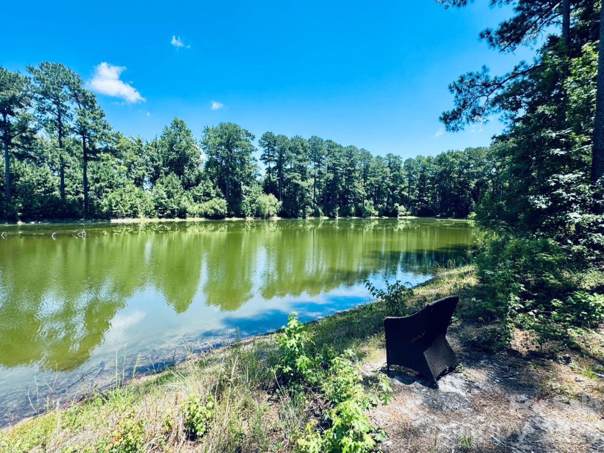 5326 Judson Road Clio, SC 29525 - Photo 26 of 29