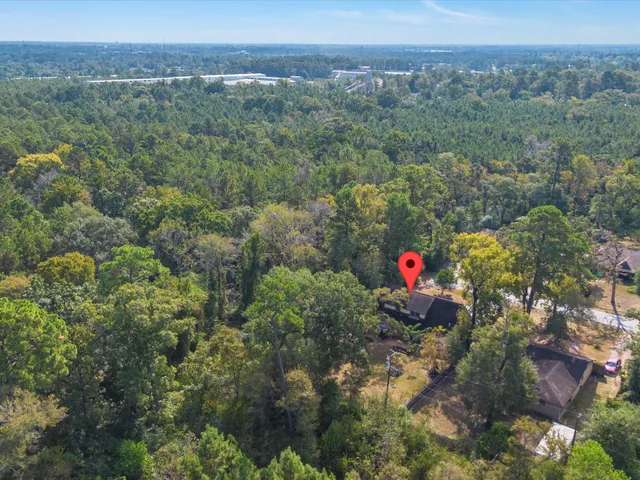 a view of a lush green forest with lots of trees