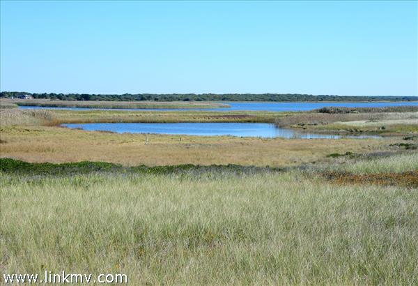 7 Black Point Road Chilmark, MA 02535 - Photo 4 of 44 a view of an ocean and beach