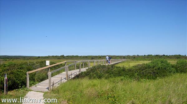 7 Black Point Road Chilmark, MA 02535 - Photo 35 of 44 a view of lake and mountain