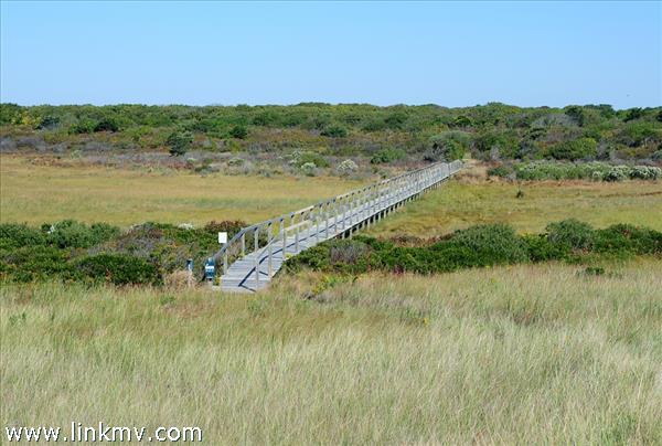 7 Black Point Road Chilmark, MA 02535 - Photo 37 of 44 a view of a lake with a yard